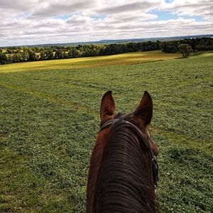 Meet your Posher, Makenna